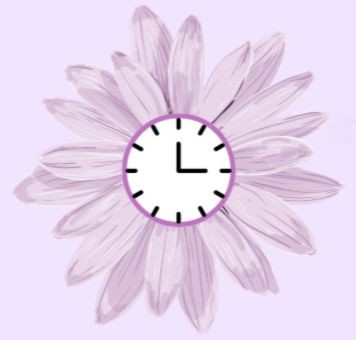 Time Aesthetics logo